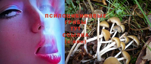 прущая мука Беломорск
