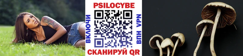 Псилоцибиновые грибы мицелий  Уяр 